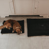Hundedecke schwarz S (VE = 4 Stk.)