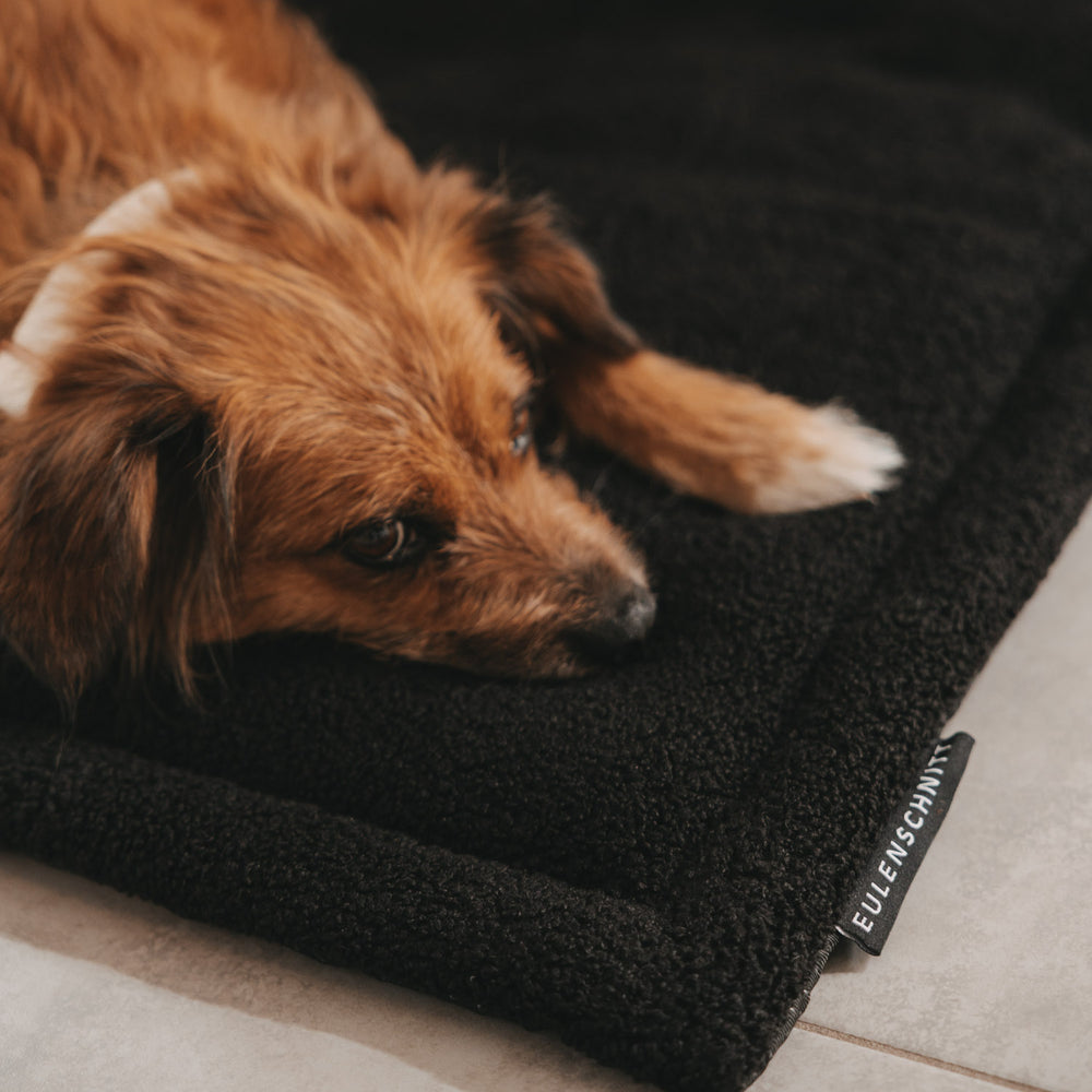 Hundedecke schwarz M (VE = 4 Stk.)