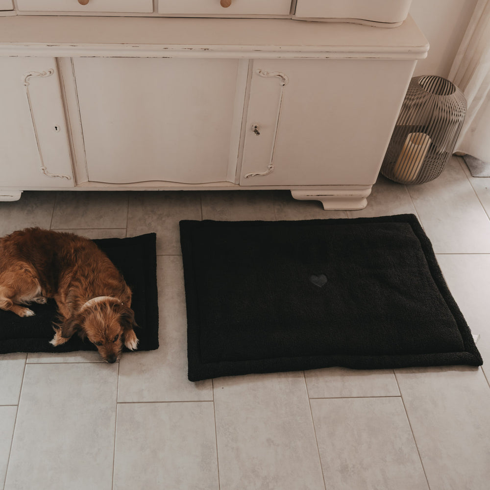 Hundedecke schwarz M (VE = 4 Stk.)
