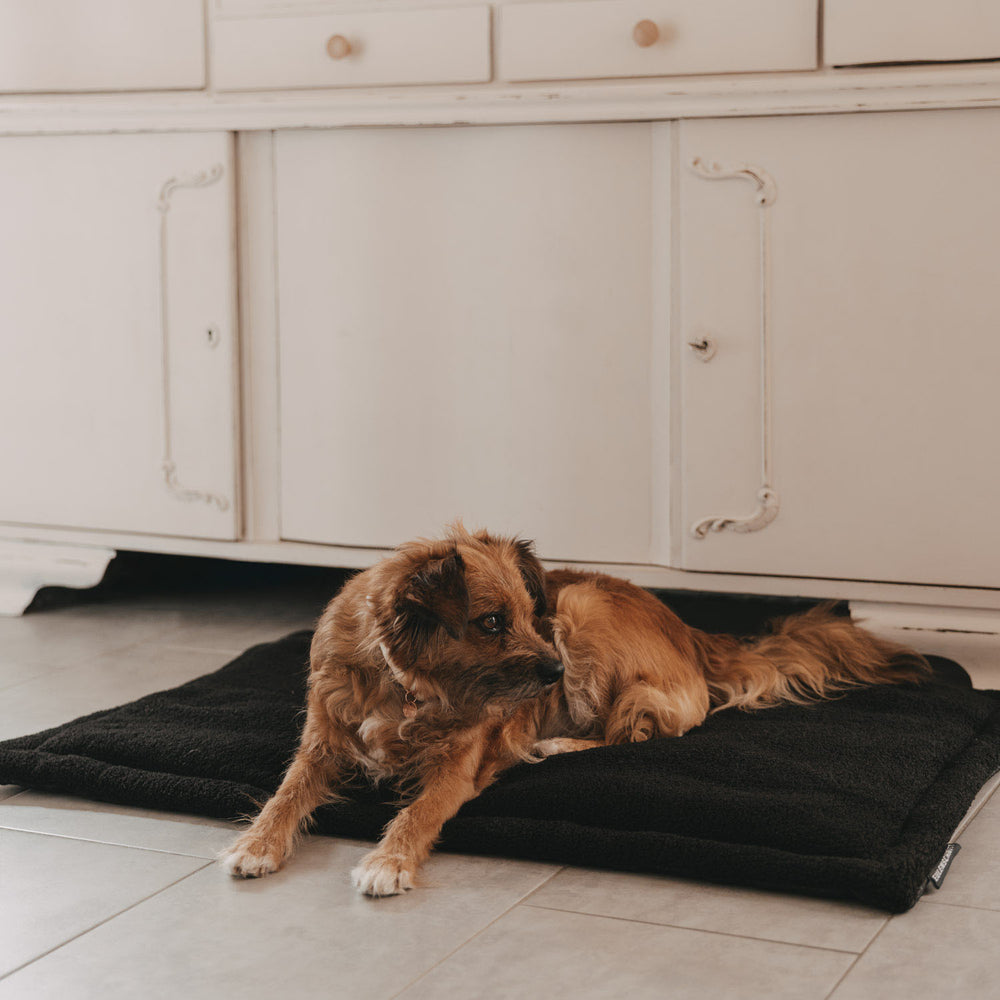 Hundedecke schwarz M (VE = 4 Stk.)