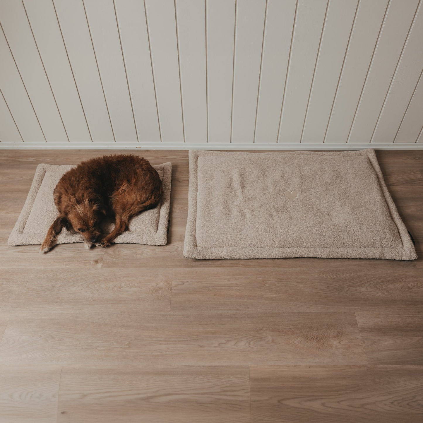Hundedecke creme S (VE = 4 Stk.)