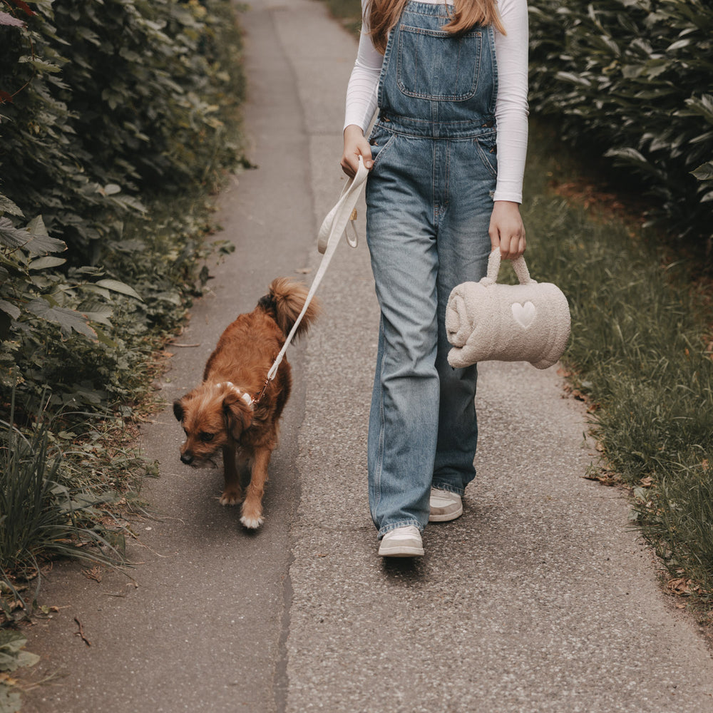 Hundedecke creme S (VE = 4 Stk.)