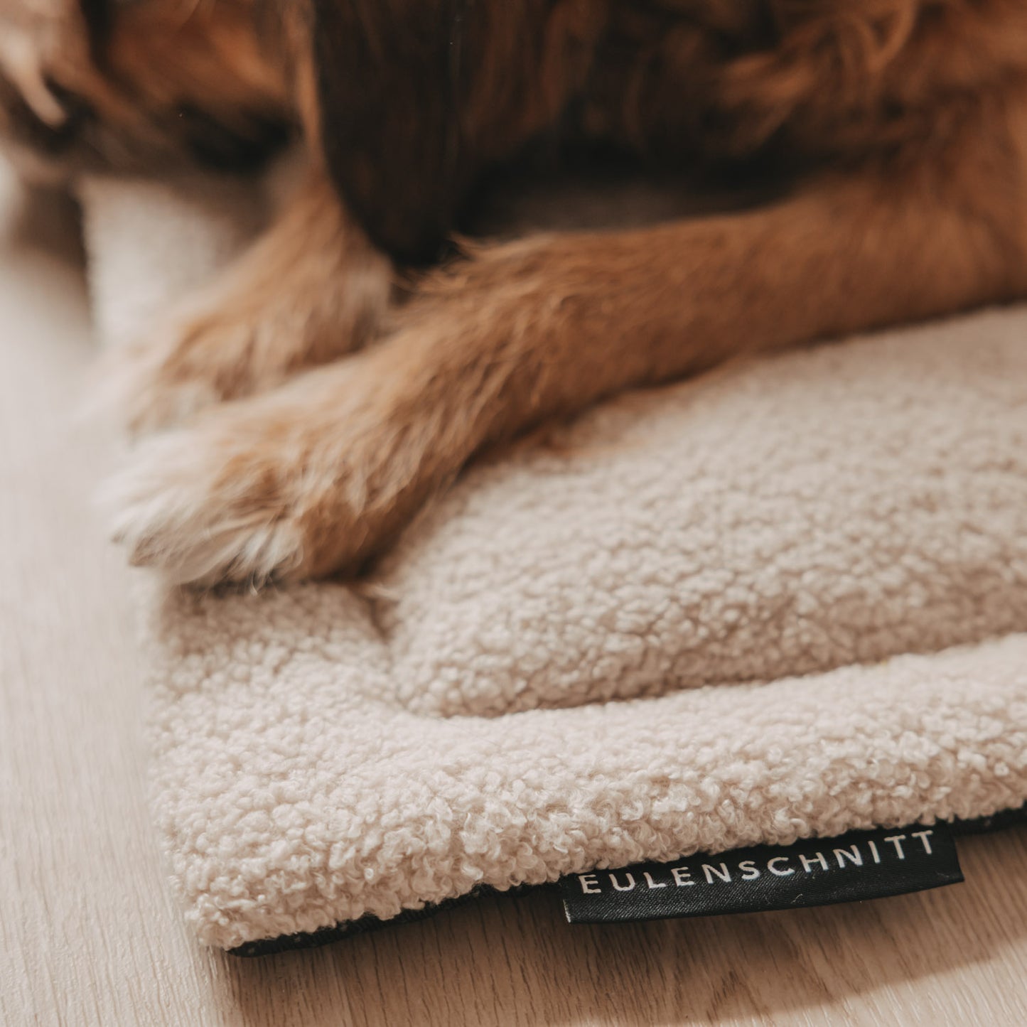 Hundedecke creme S (VE = 4 Stk.)