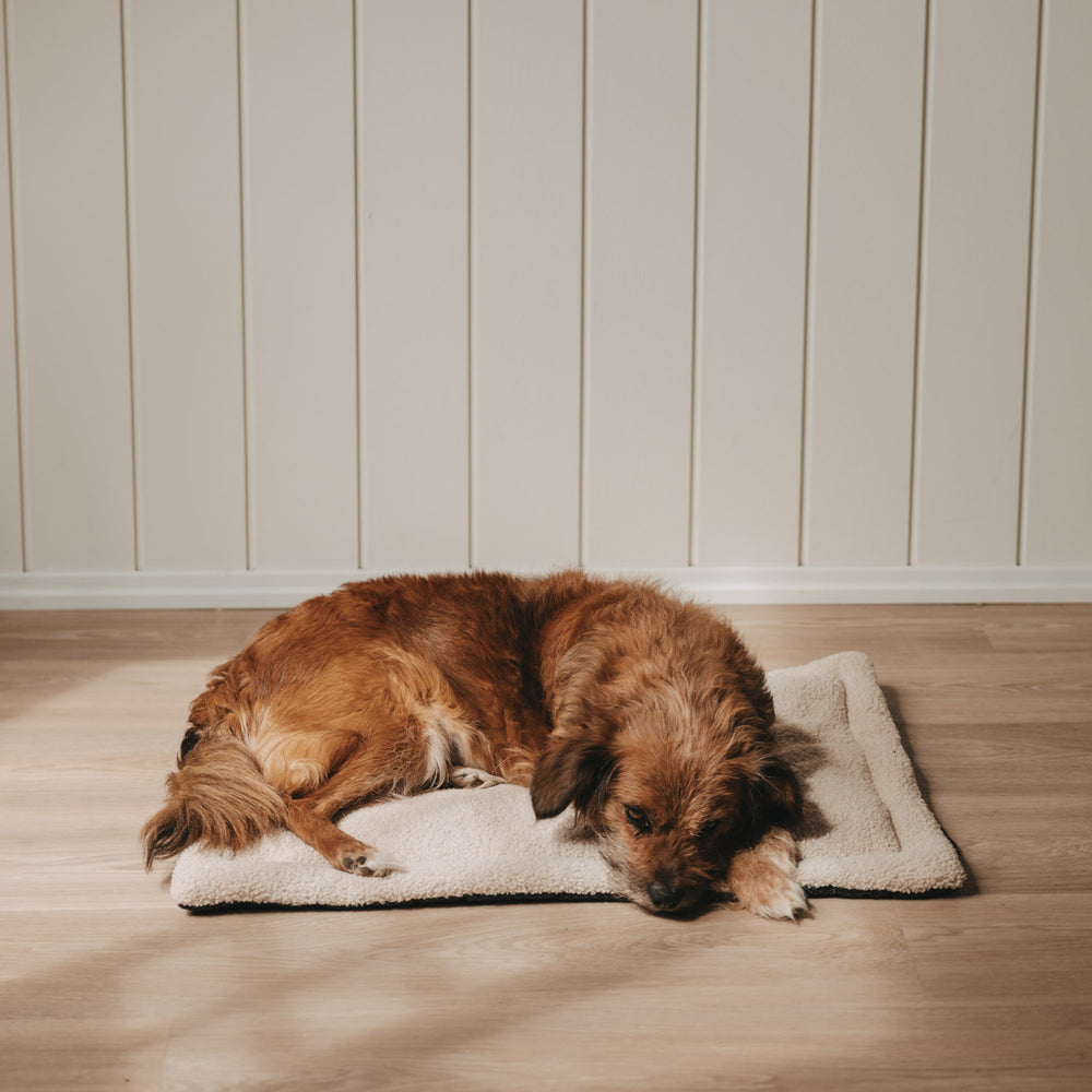 Hundedecke creme S (VE = 4 Stk.)