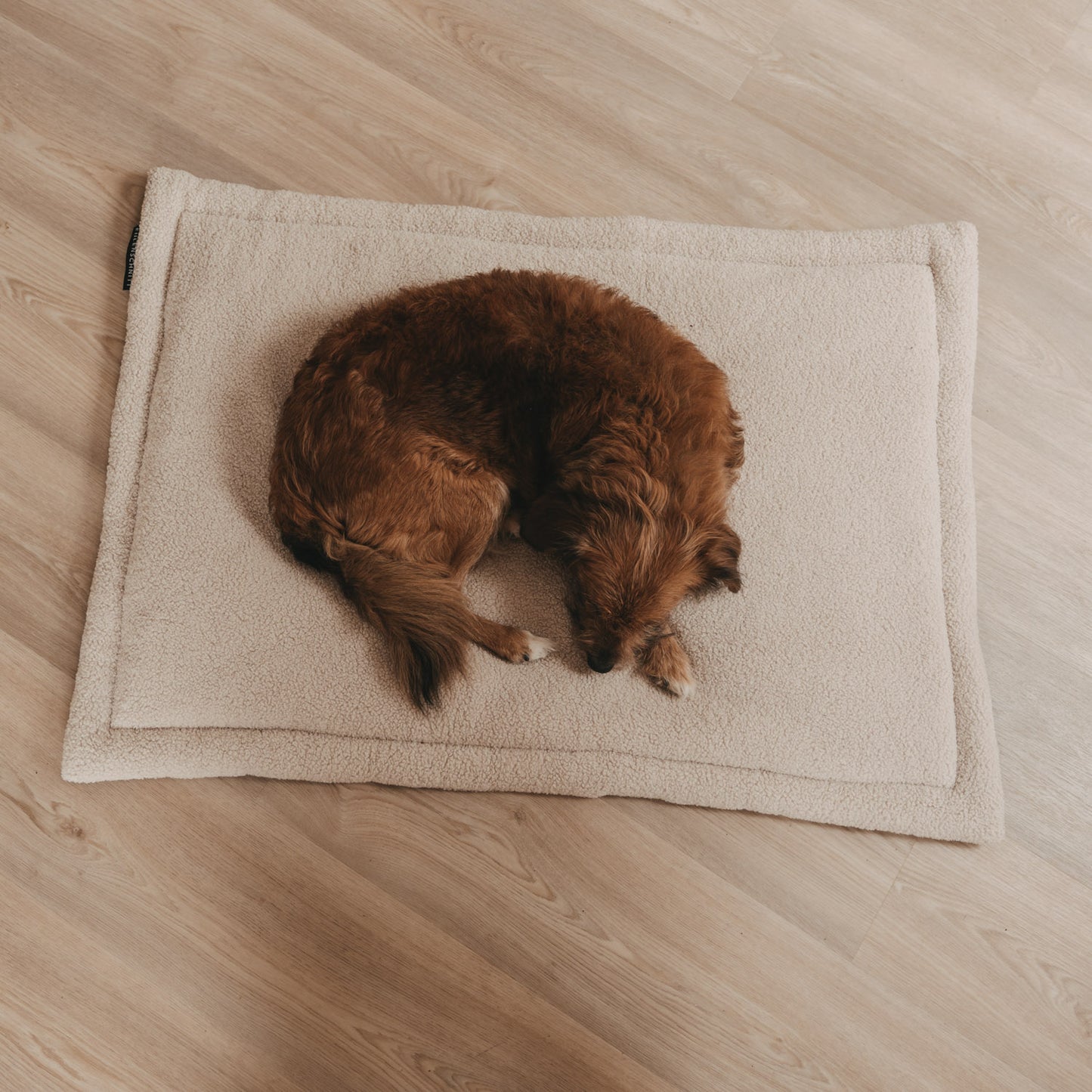 Hundedecke creme M (VE = 4 Stk.)