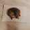 Hundedecke creme M (VE = 4 Stk.)