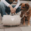 Hundedecke creme M (VE = 4 Stk.)
