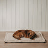 Hundedecke creme M (VE = 4 Stk.)