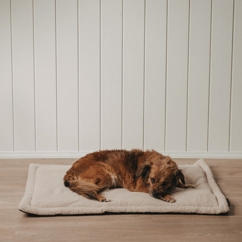 Hundedecke creme M (VE = 4 Stk.)