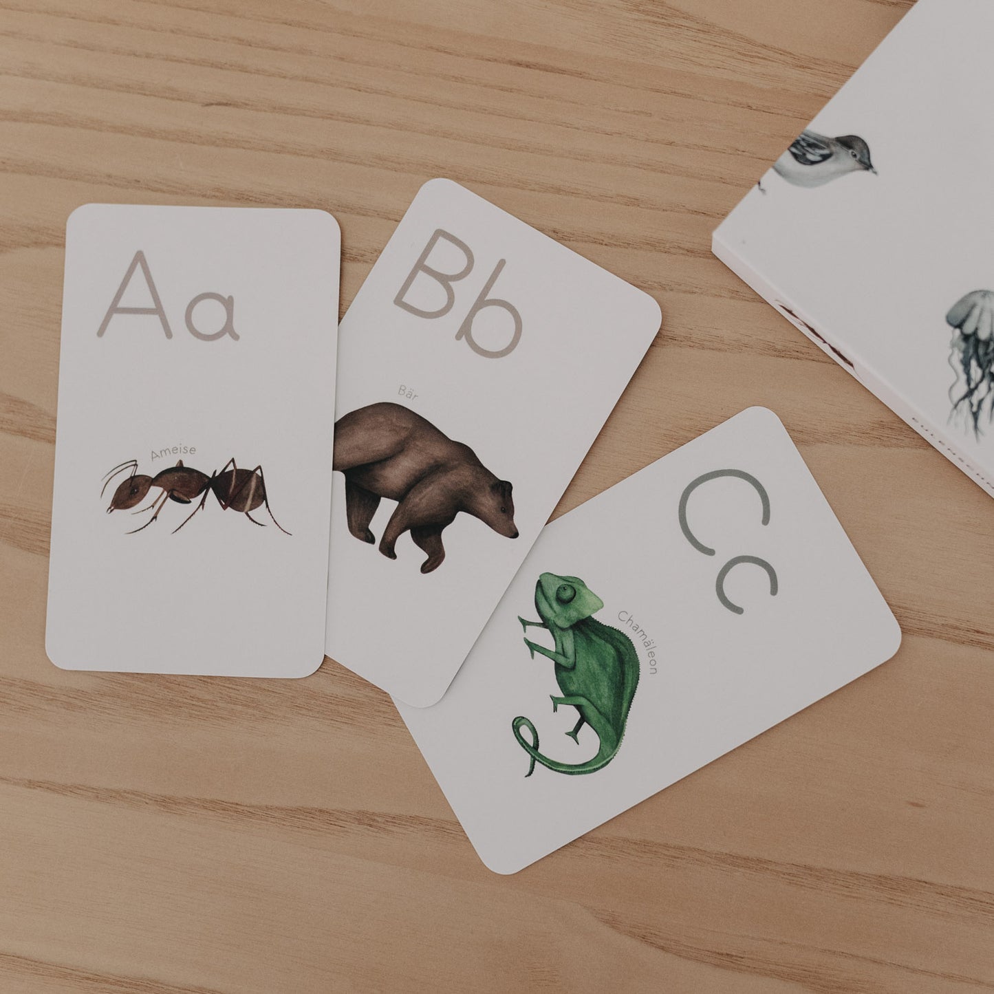 ABC Karten (VE = 4 Stk)