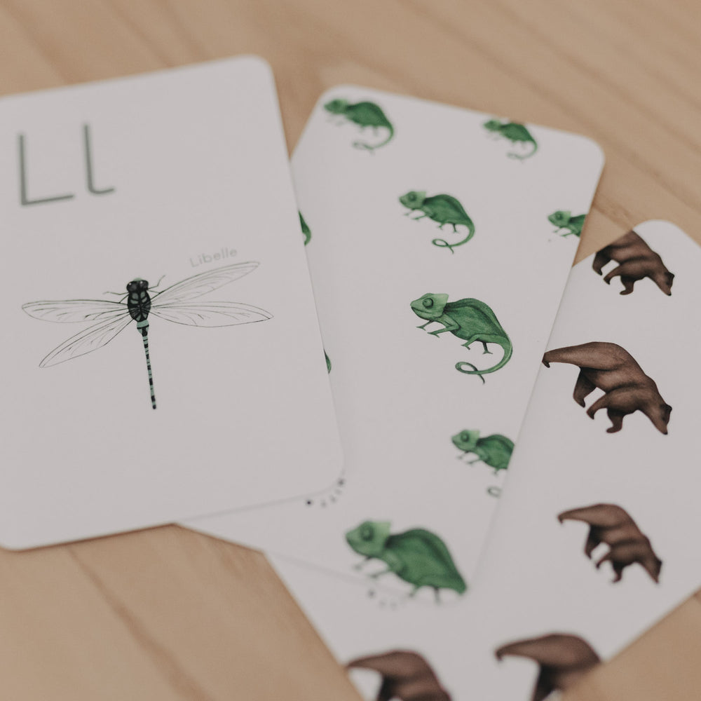 ABC Karten (VE = 4 Stk)