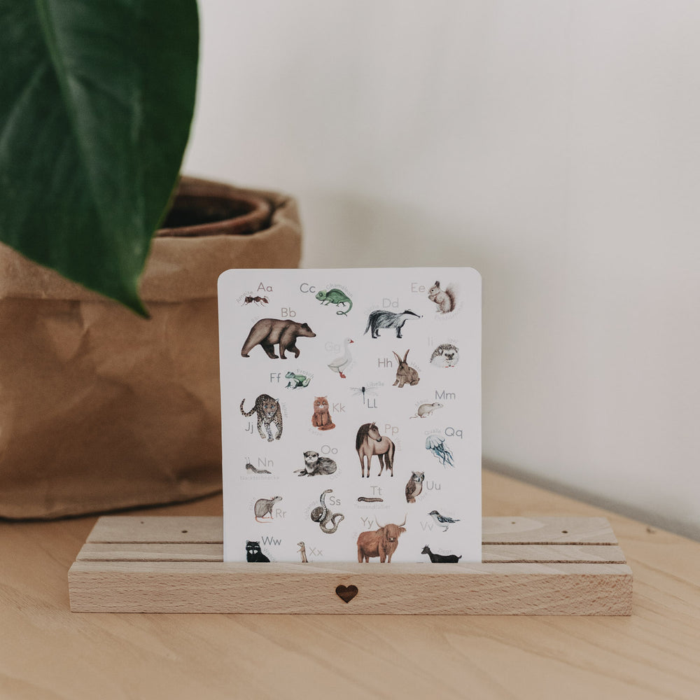 ABC Karten (VE = 4 Stk)