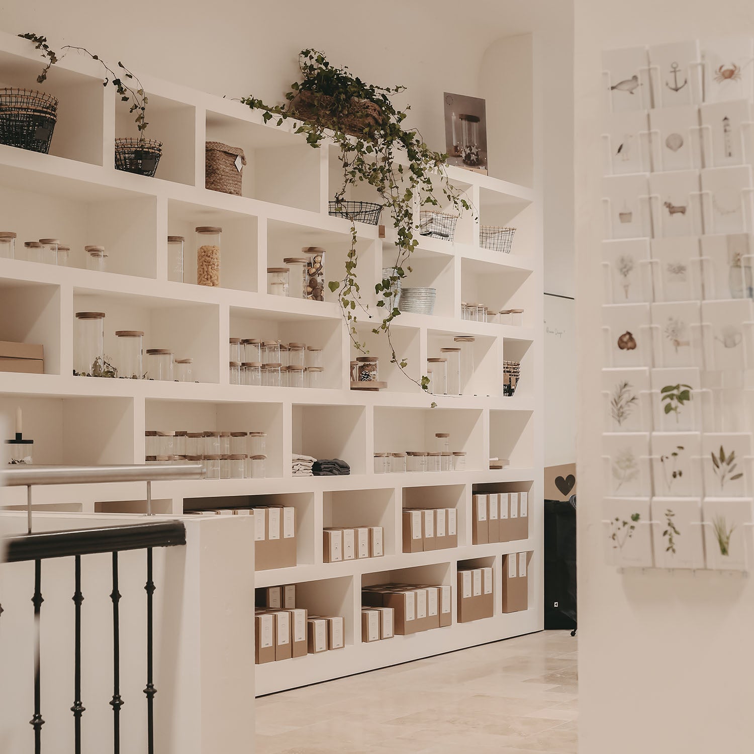 Unser Eulenschnitt-Store