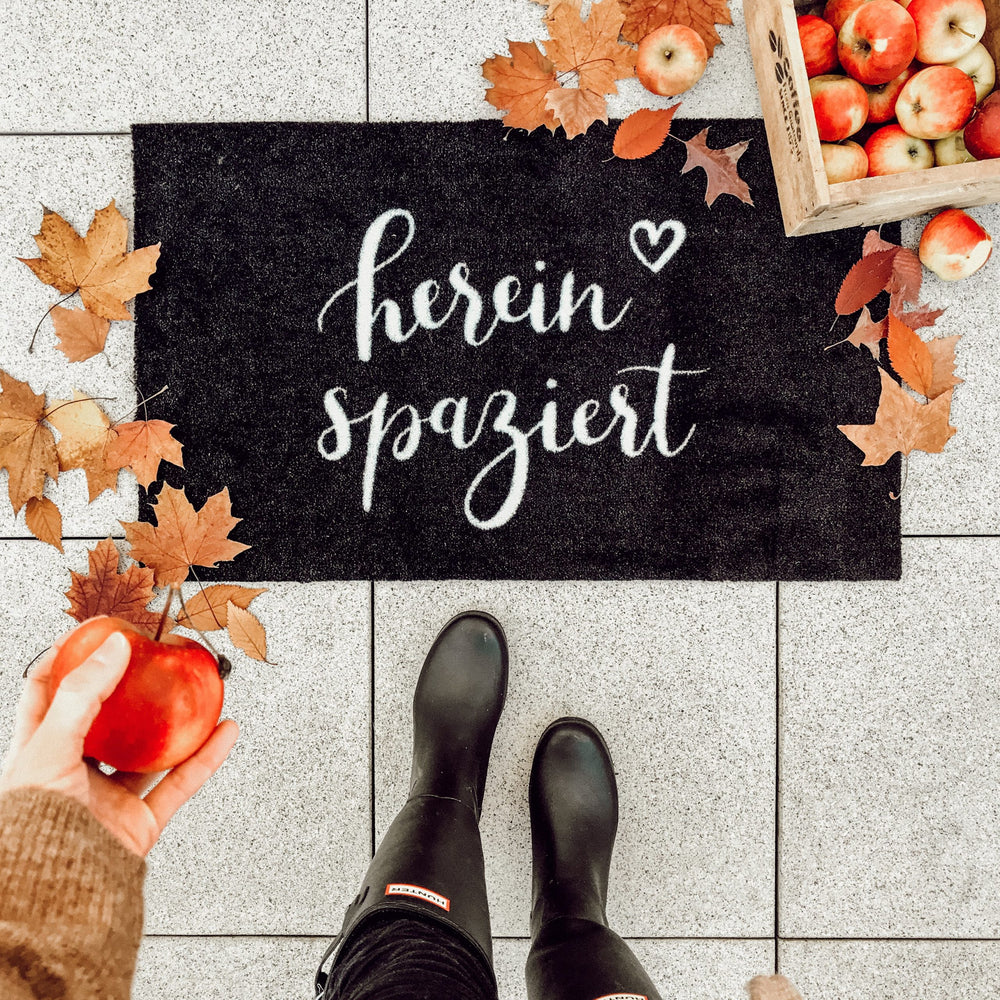 Washable doormat Come in black 75 x 45 (PU = 6 pieces)