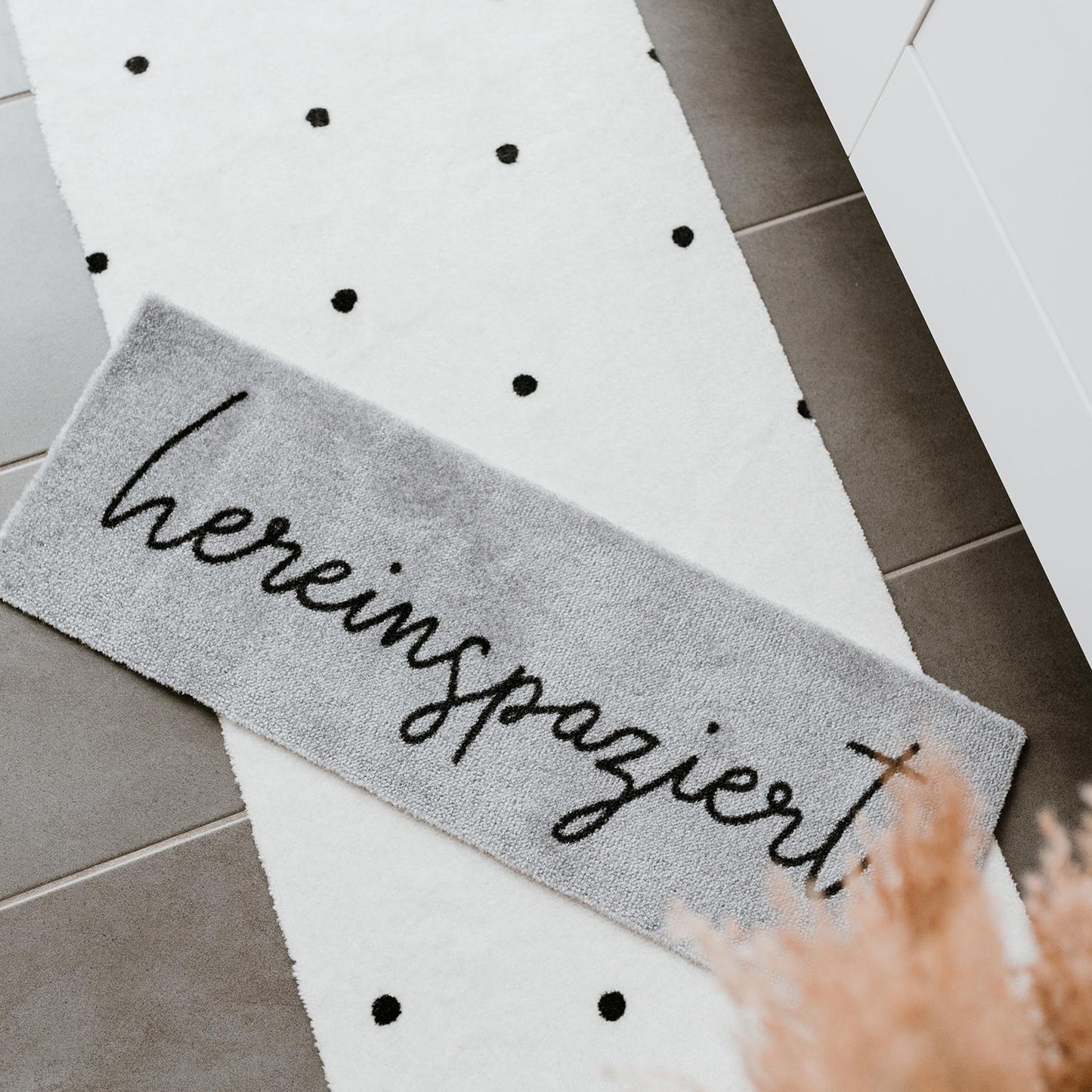 Small washable doormat Gray Come in 75 x 25 (PU = 6 pieces)