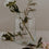 Vase en verre grand Liebe (UE = 6 Pièces)