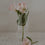 Tall drinking glass hearts (PU = 6 pieces)