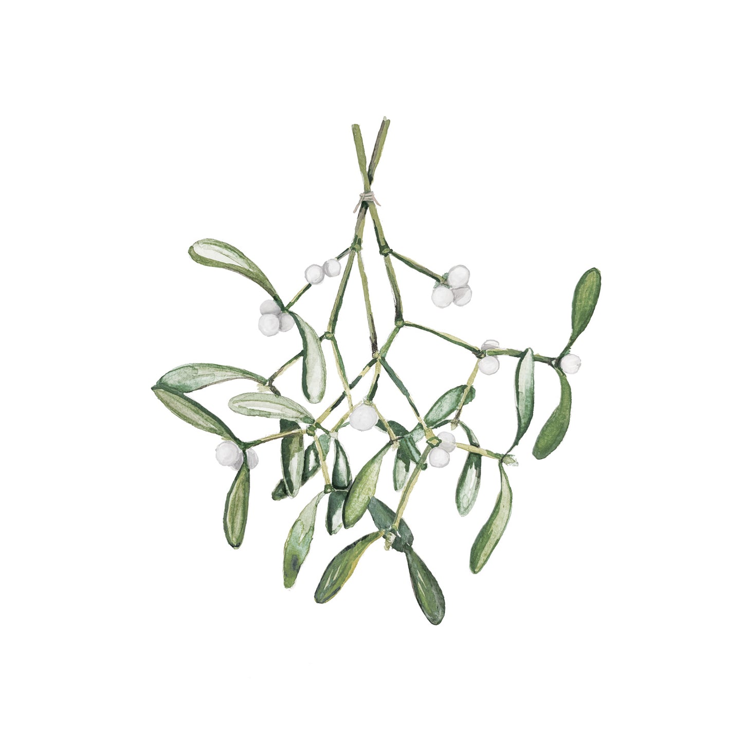 Postcard Mistletoe (PU = 10 pieces)