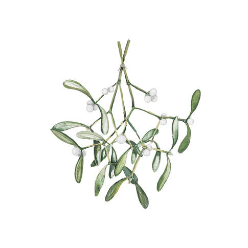 Postcard Mistletoe (PU = 10 pieces)