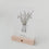 Easter card branches (PU = 10 pieces)