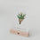 Easter card tulips (PU = 10 pieces)