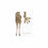 Glückwunschkarte Giraffe (VE = 10 Stück)
