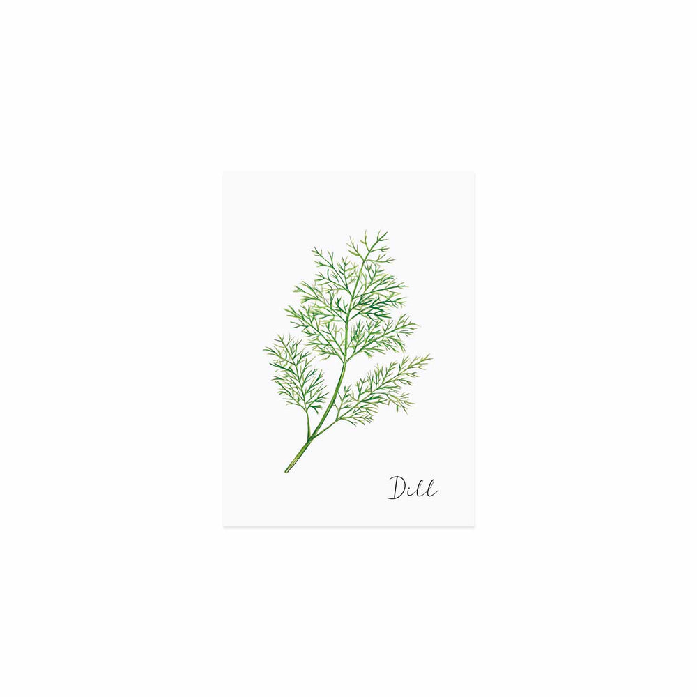 Kräuterkarte Dill (VE = 10 Stück)