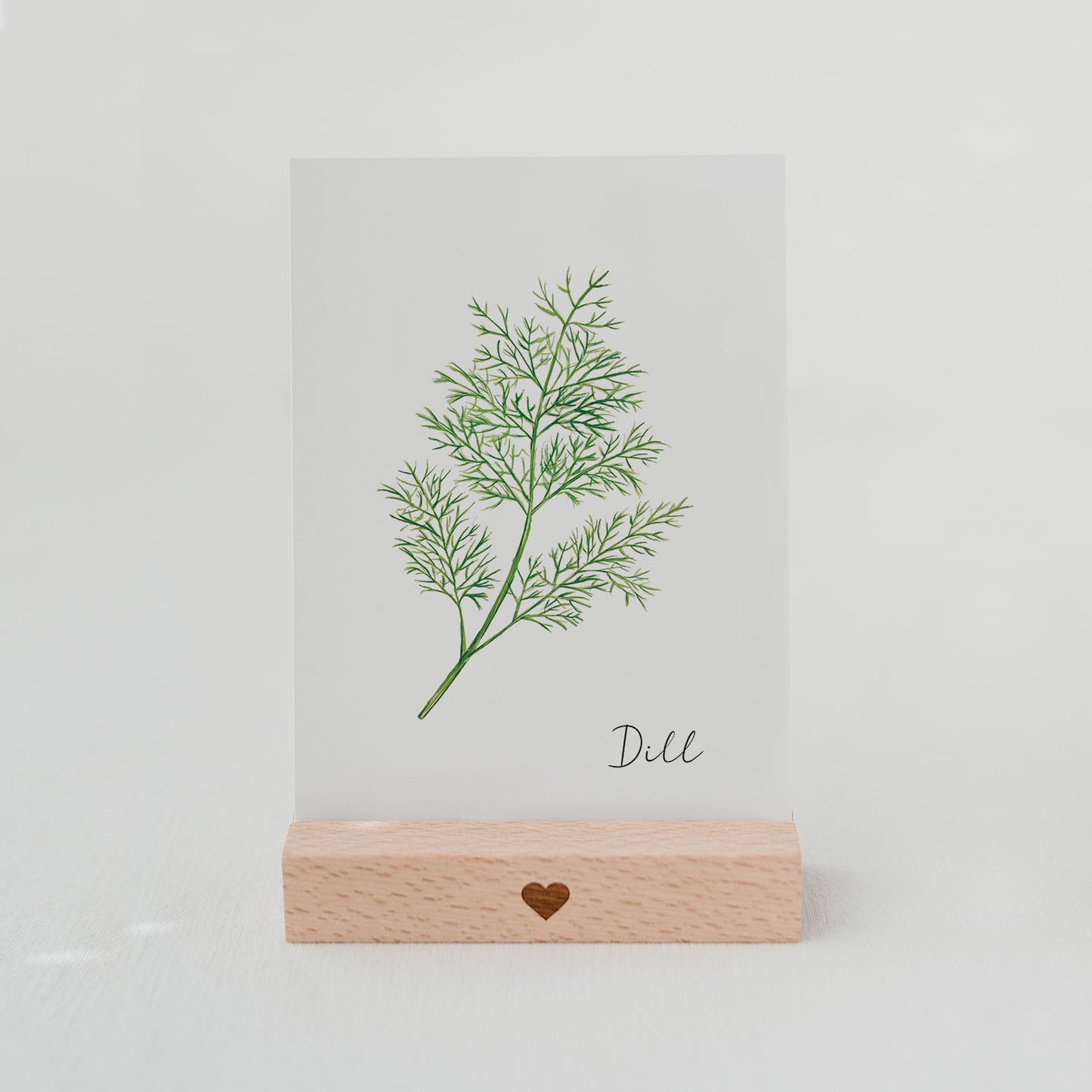 Kräuterkarte Dill (VE = 10 Stück)