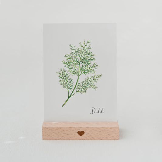 Kräuterkarte Dill (UE = 10 Pièces)