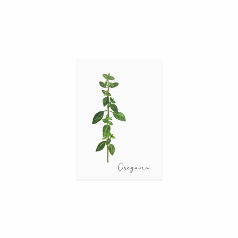 Kräuterkarte Oregano (UE = 10 Pièces)