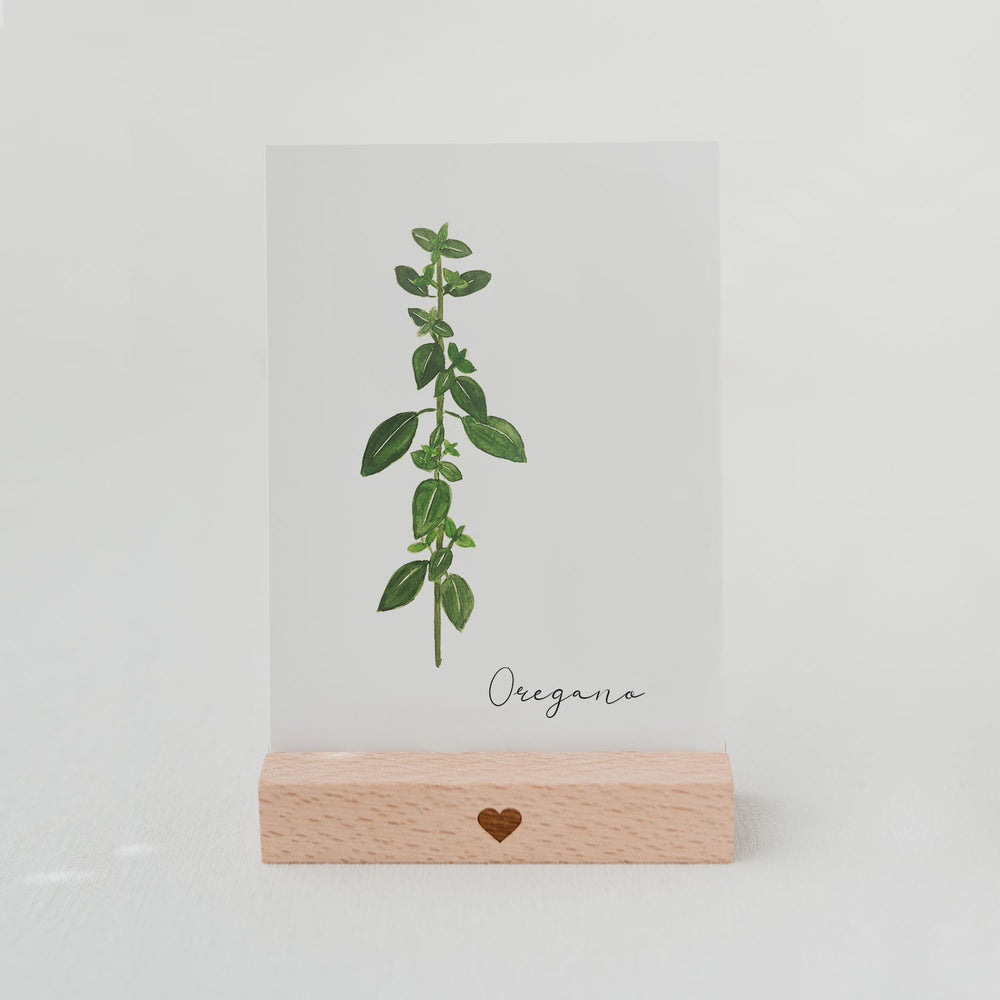 Kräuterkarte Oregano (UE = 10 Pièces)
