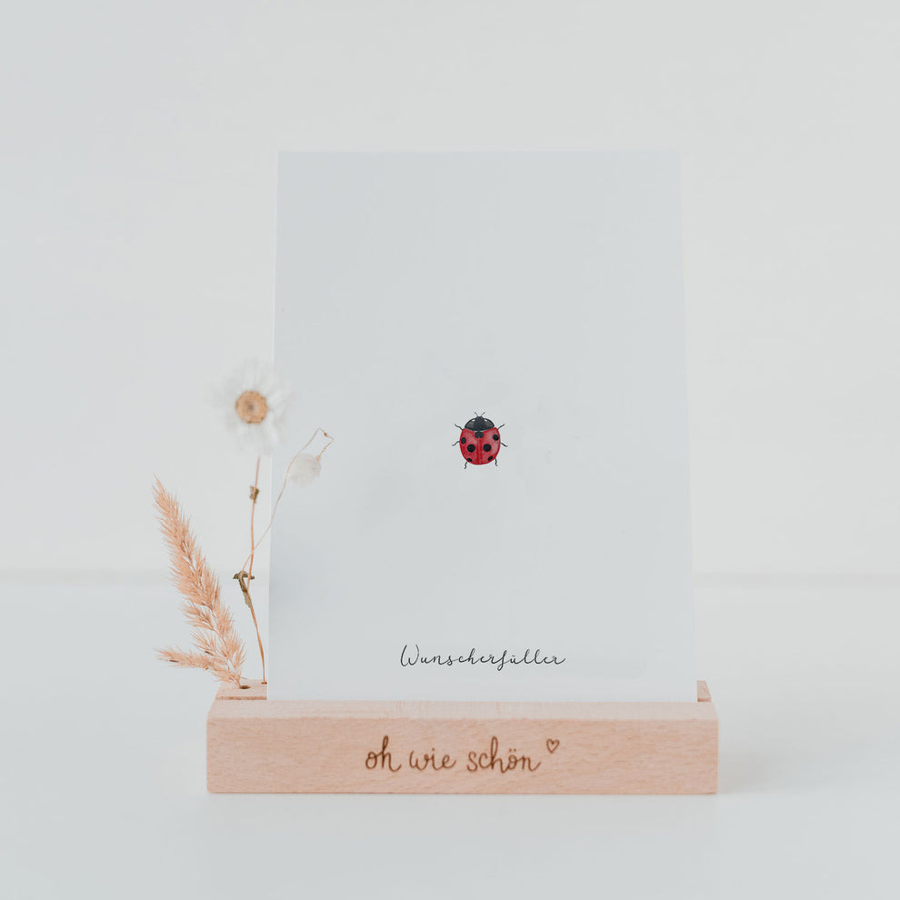 Postkarte Marienkäfer (VE = 10 Stück)