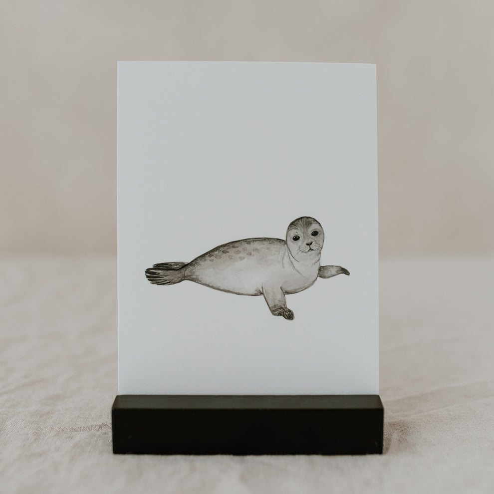 Aquarellkarte Robbe (VE = 10 Stück)
