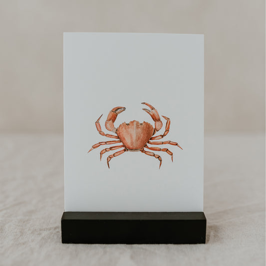 Aquarellkarte Strandkrabbe (UE = 10 Pièces)
