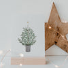 Aquarellkarte Christmas Tree (UE = 10 Pièces)