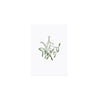 Aquarellkarte Mistletoe (VE = 10 Stück)