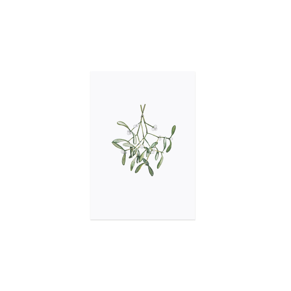 Aquarellkarte Mistletoe (VE = 10 Stück)