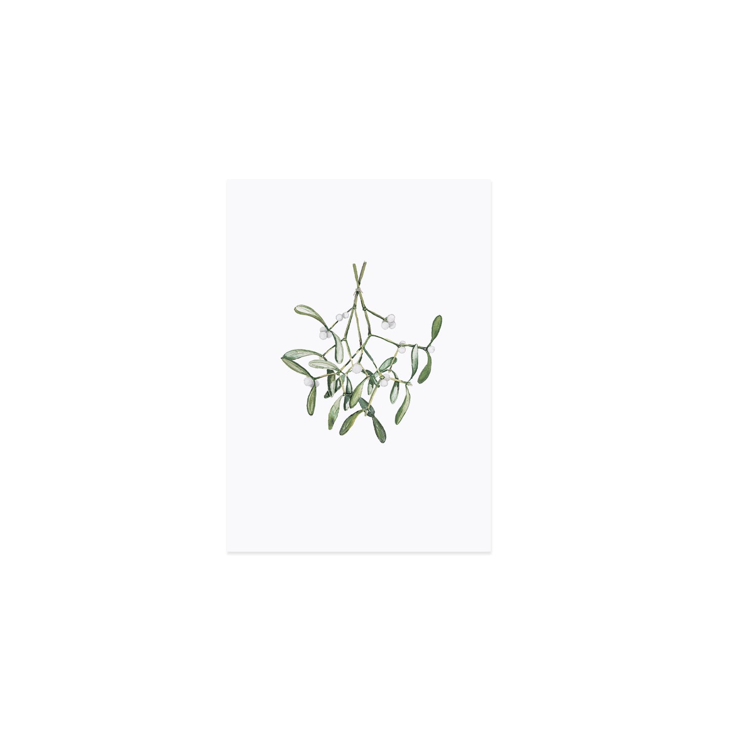 Aquarellkarte Mistletoe (VE = 10 Stück)