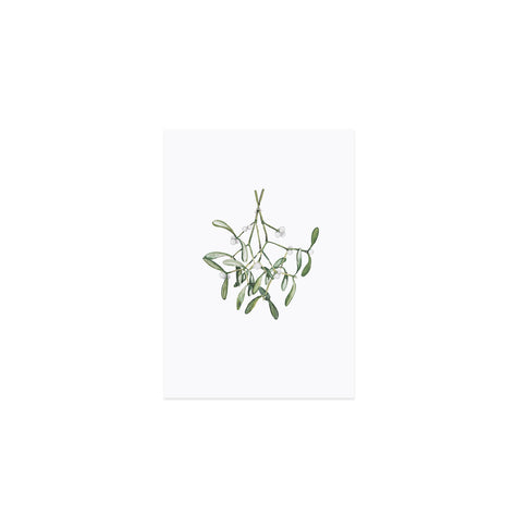 Aquarellkarte Mistletoe (VE = 10 Stück)