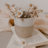Mug Heart (PU = 4 pieces)