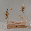 Karten- und Blumenständer Set 12cm O Tannenbaum Natur (VE= 6 Sets)