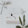 Sponge cloths Hasi in a set of 3 (PU = 10 pieces)