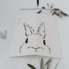 Sponge cloths Hasi in a set of 3 (PU = 10 pieces)